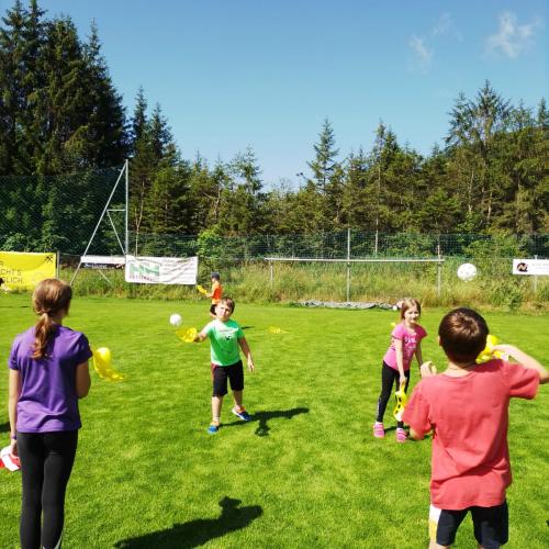 Sport