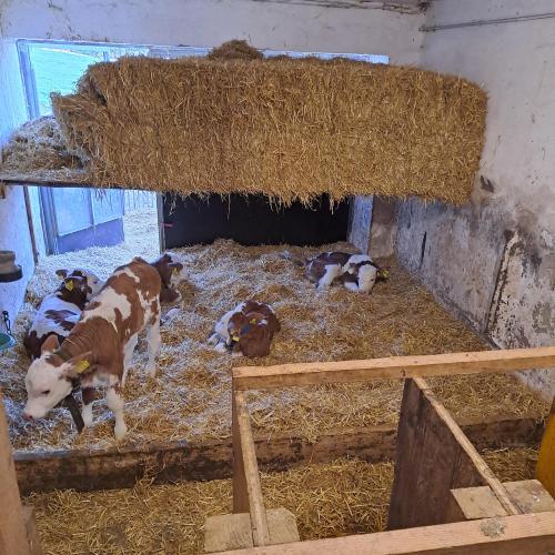 Welternährungstag