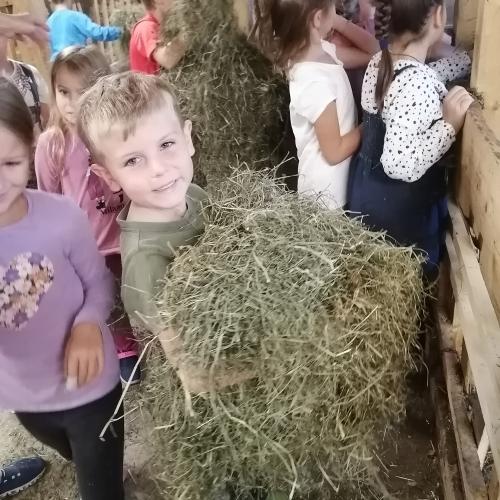 Welternährungstag