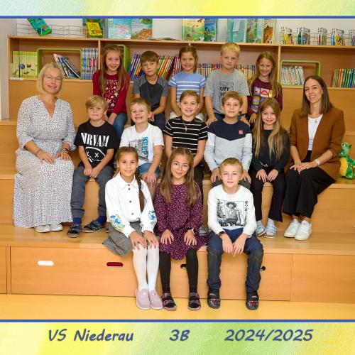 3B