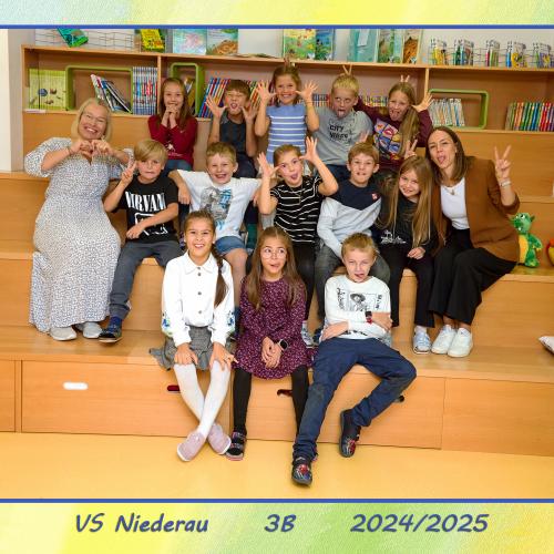 3B