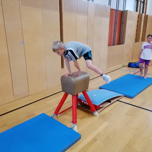 Schulsportservice