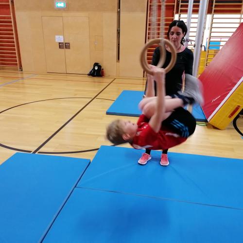 Schulsportservice