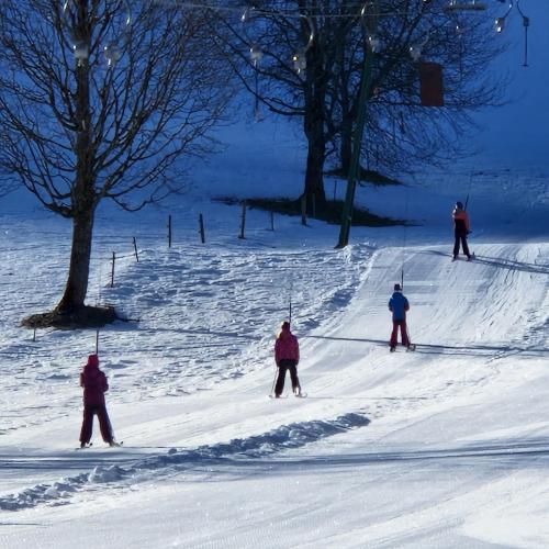 Wintersport