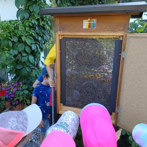 1a Bienen