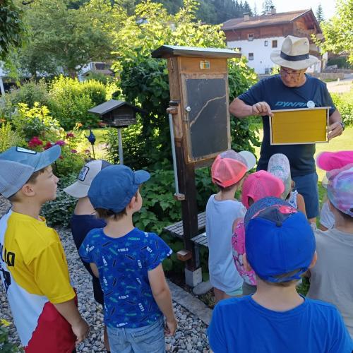 1a Bienen