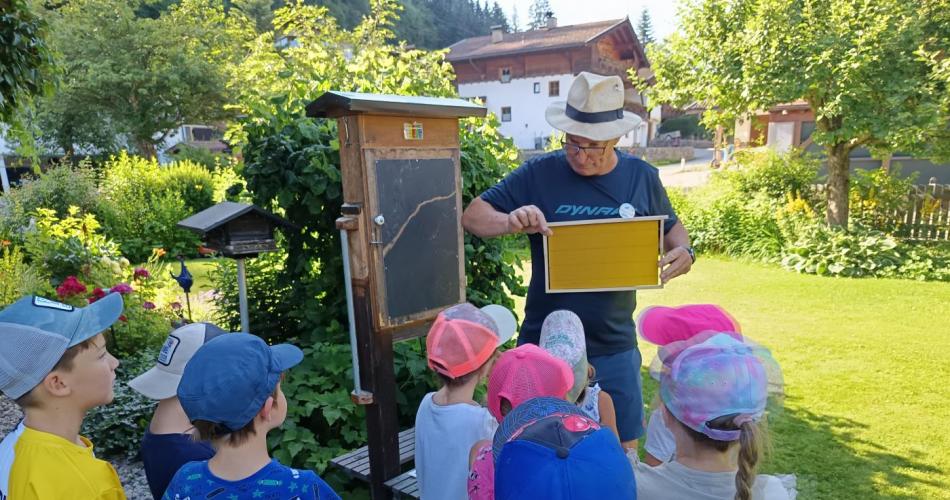1a Bienen